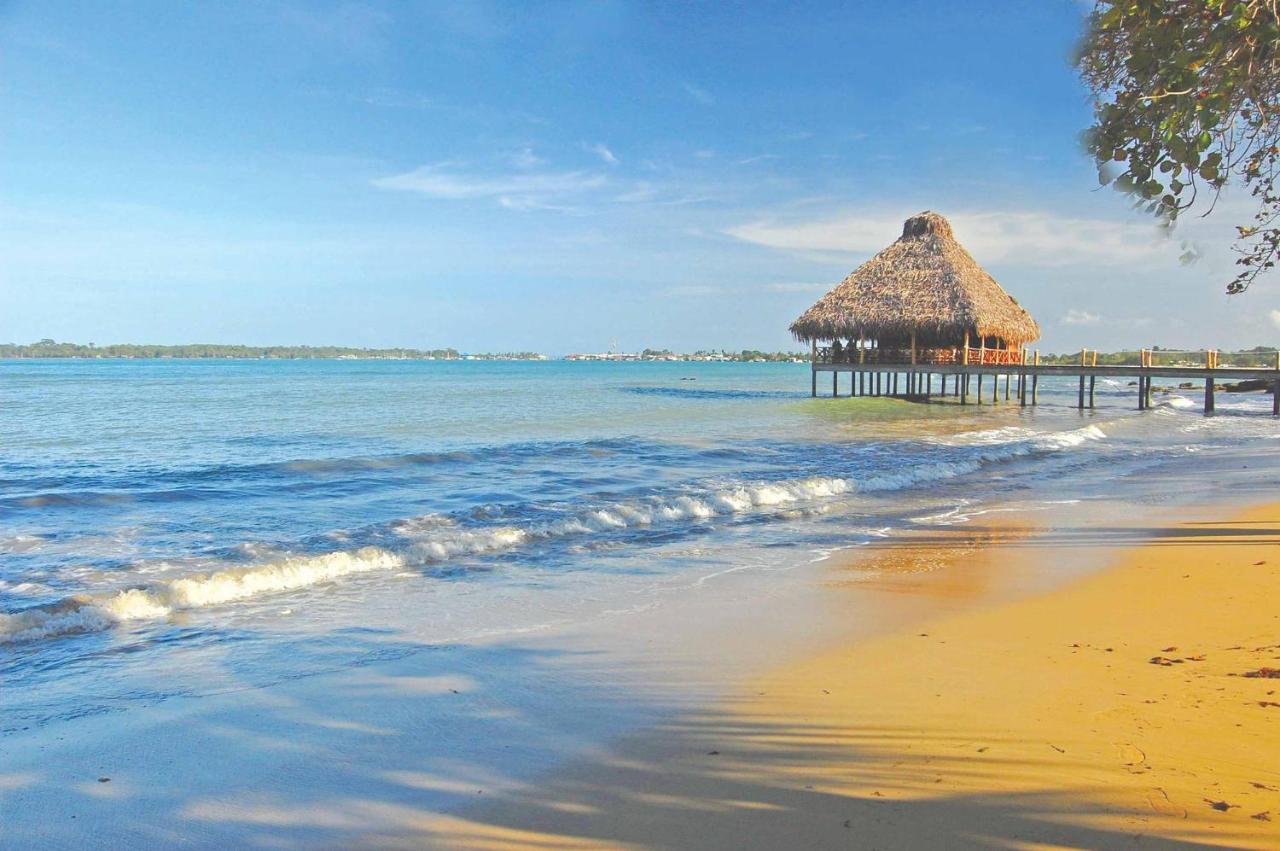 Playa Tortuga Hotel And Beach Resort Bocas del Toro Fasiliteter bilde