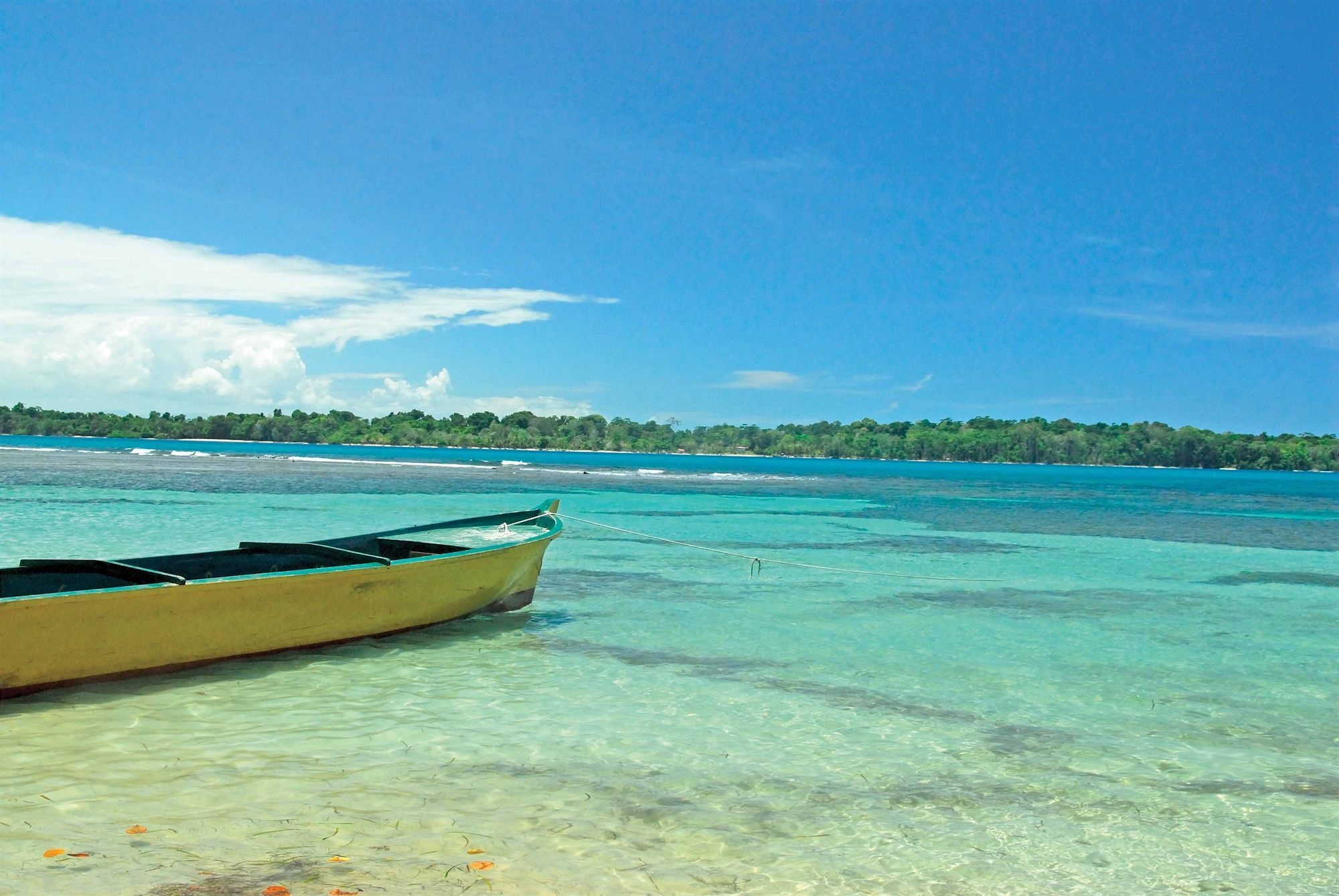 Playa Tortuga Hotel And Beach Resort Bocas del Toro Eksteriør bilde